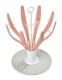 Сушка складная для бутылок Beaba Flower Foldable Draining Rack Pink
